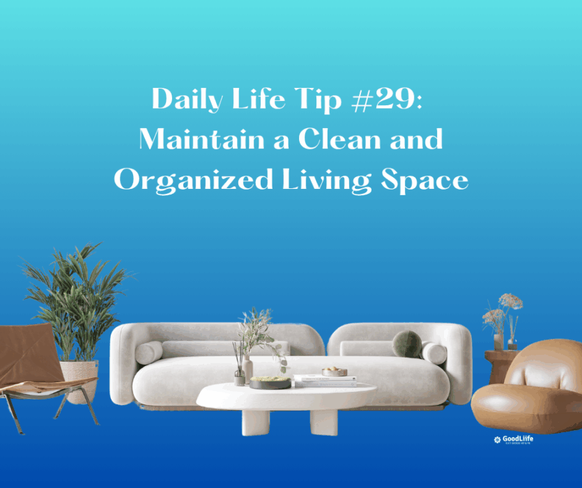 GoodLiife | Maintain a Clean and Organized Living Space